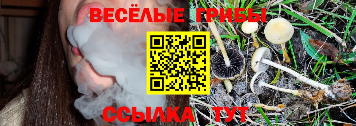 КОКАИН  Меф кристаллы  МАРИХУАНА  Купить наркотик  Вход с VPN  Родники  Канабис 