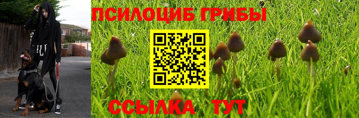 Псилоцибиновые грибы мухоморы  Вход с VPN  Родники  Галлюциногенные грибы Psilocybe 